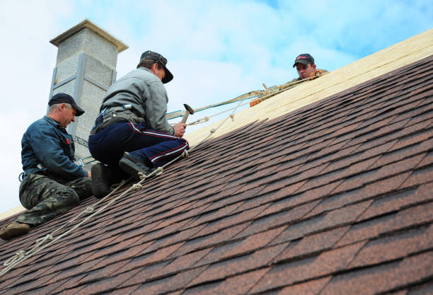 Best Roofing Contractor Near Me  in Springfield, OH