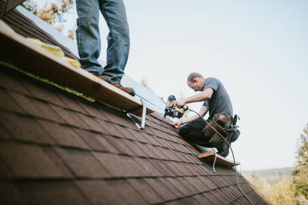 Best Roof Gutter Cleaning  in Springfield, OH